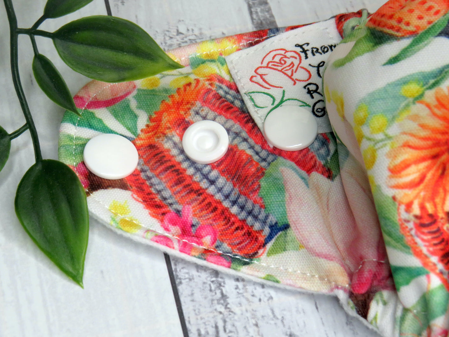 Banksia and Wattle - PUL - Newborn