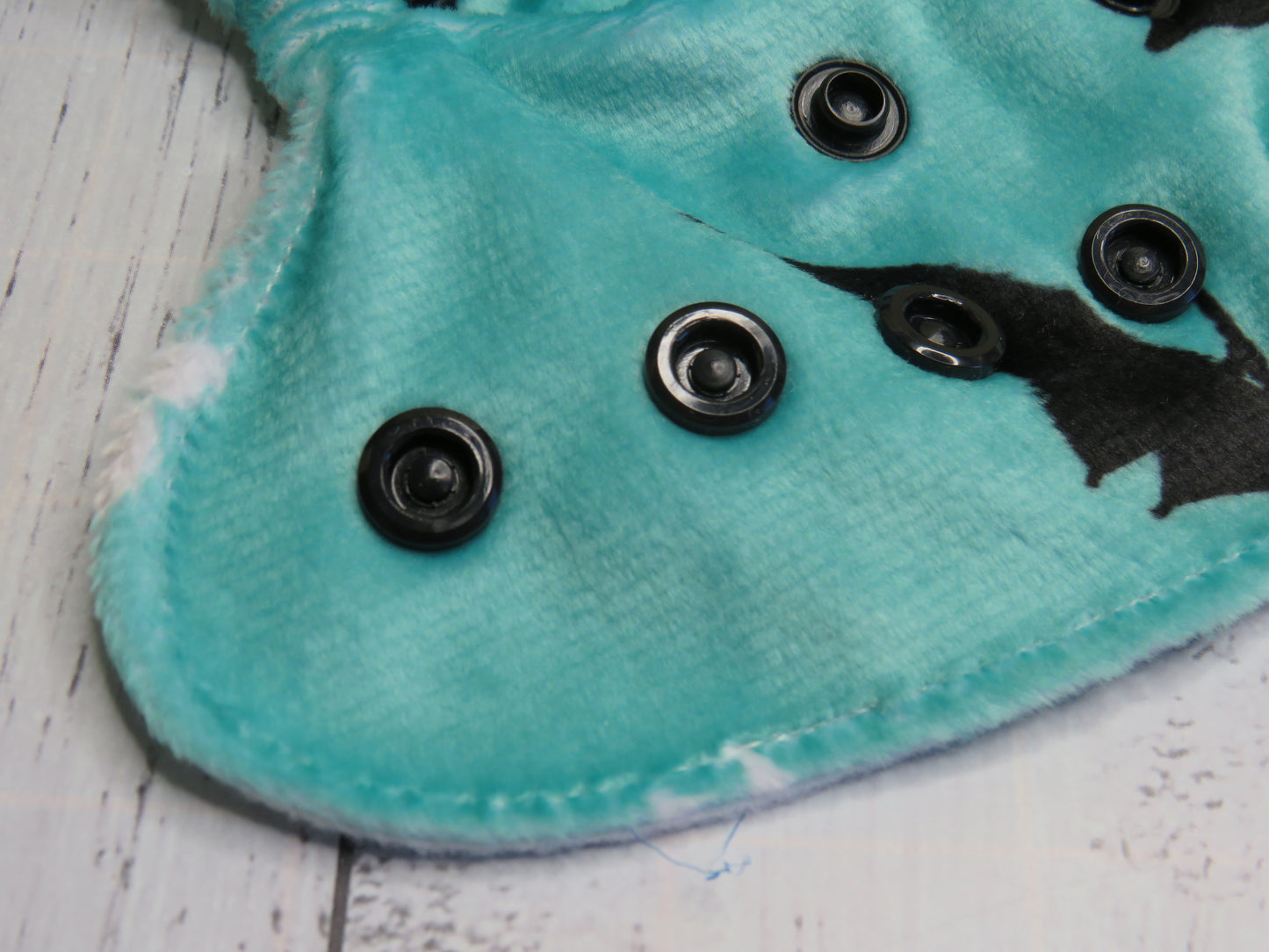 Dinosaurs - Minky - Newborn