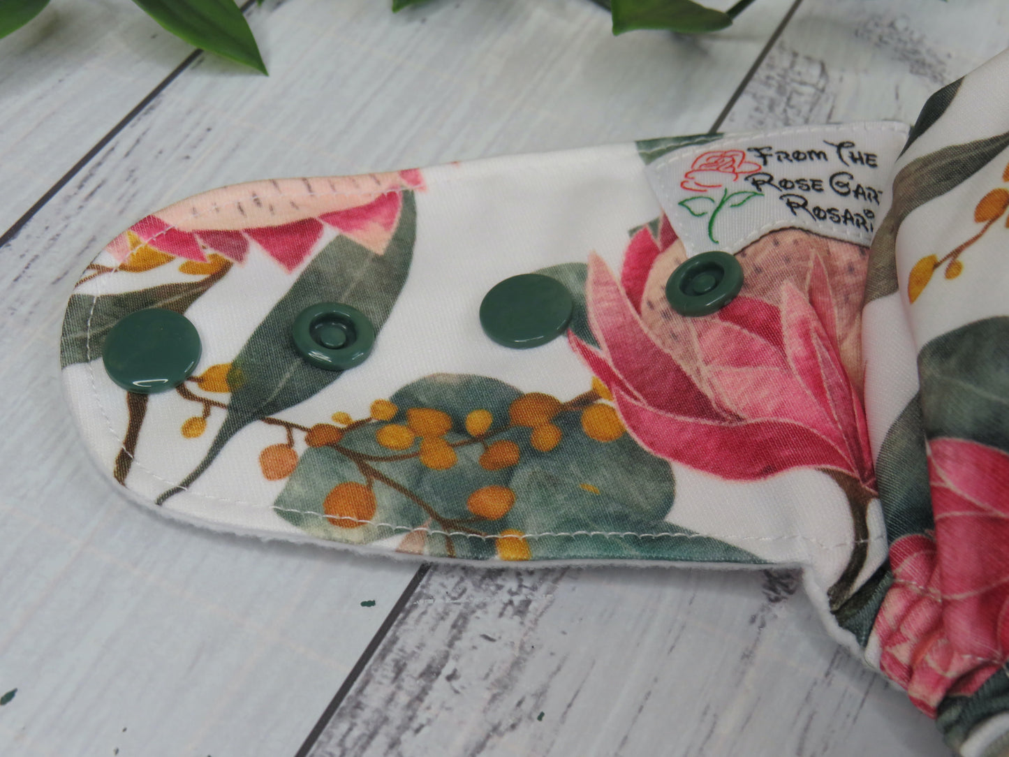 Wild Protea - PUL - Rosarium