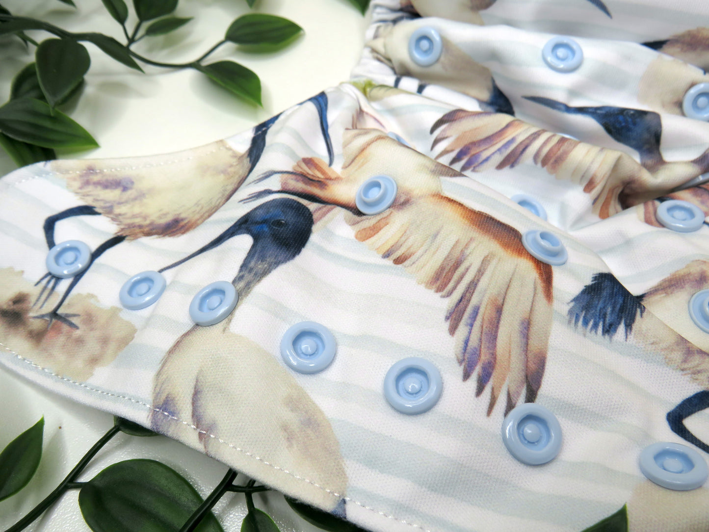 Ibis - PUL - Rosarium