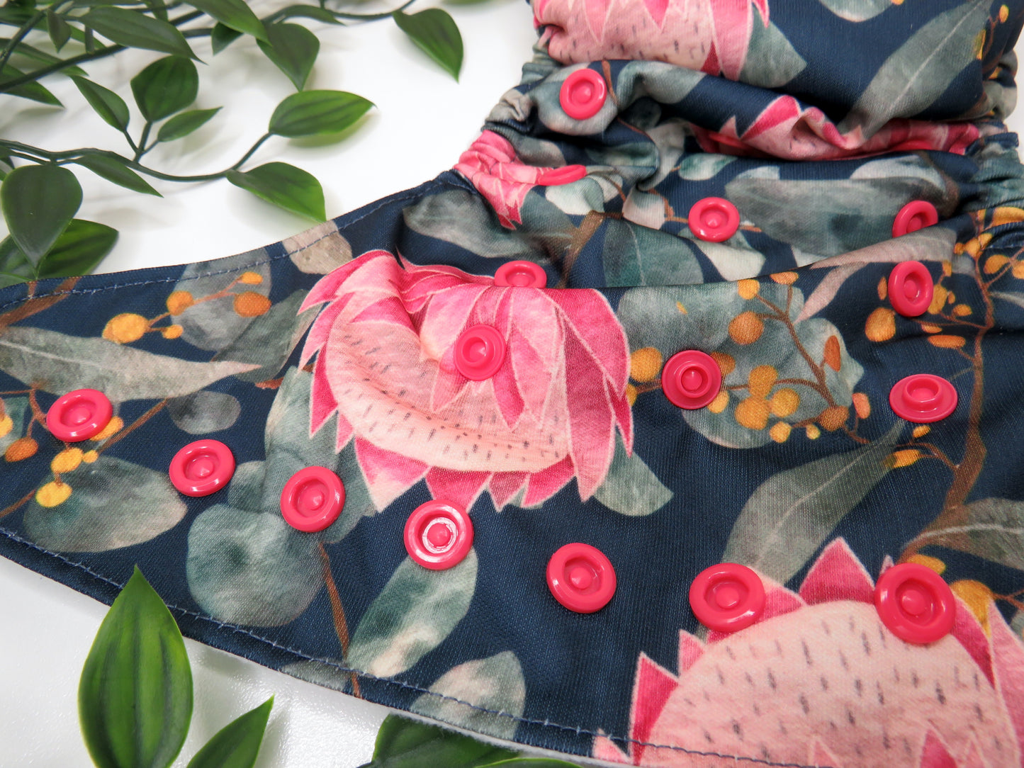 Midnight Protea - PUL - Rosarium