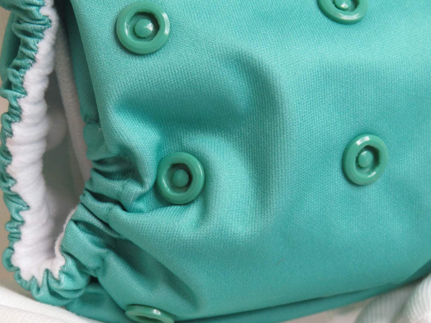 Ocean Green - PUL - Rosarium