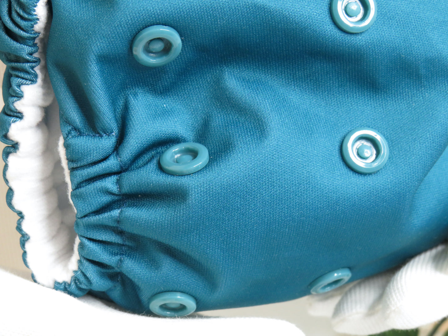 Blue Lagoon - PUL - Rosarium