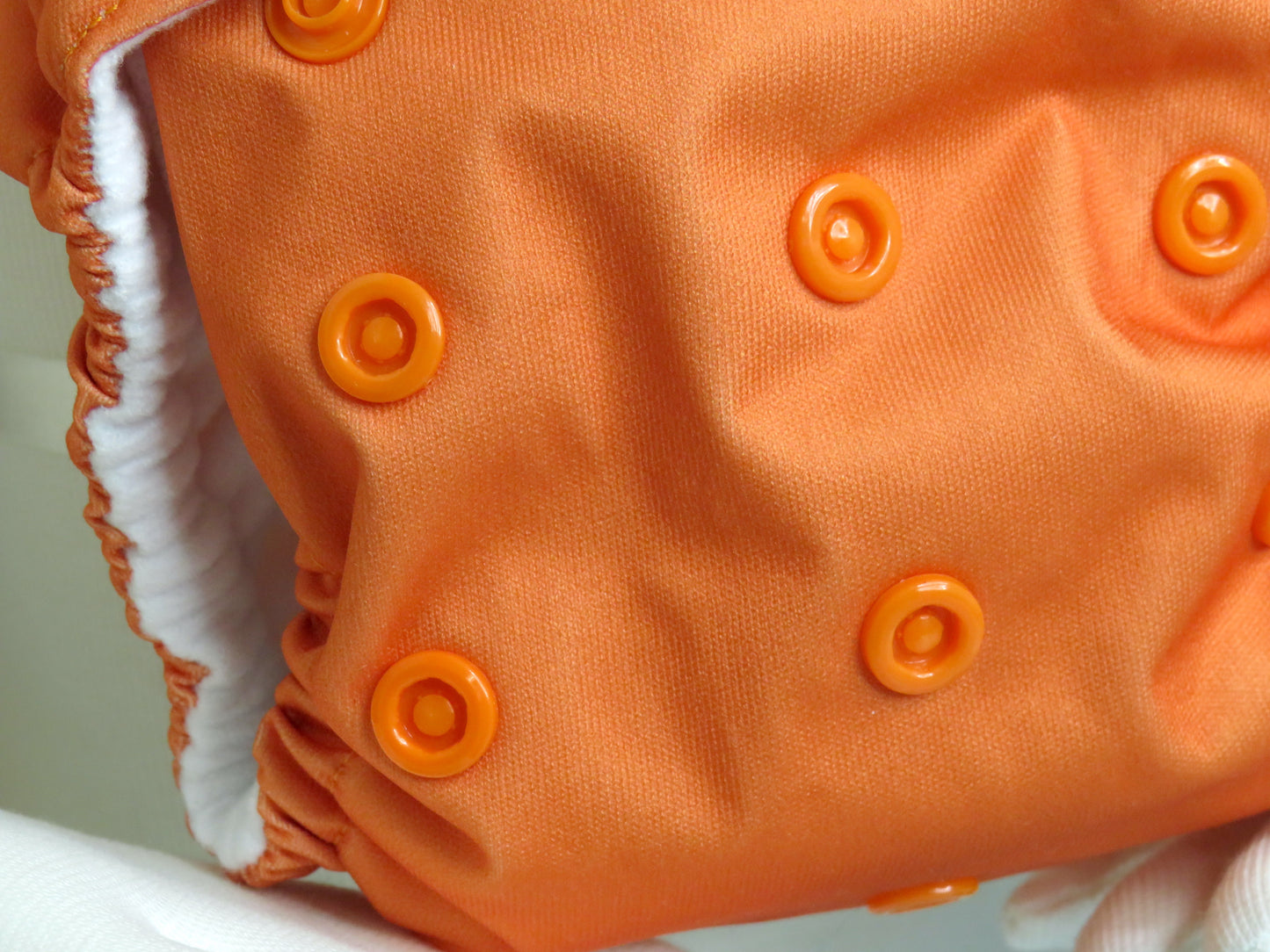 Orangutan Orange - PUL - Rosarium