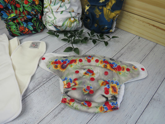 What are rise snaps?