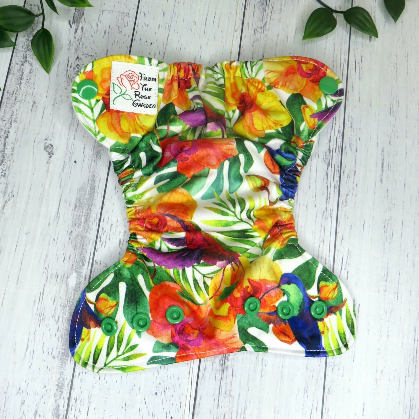 Humming Bird - PUL - Premature