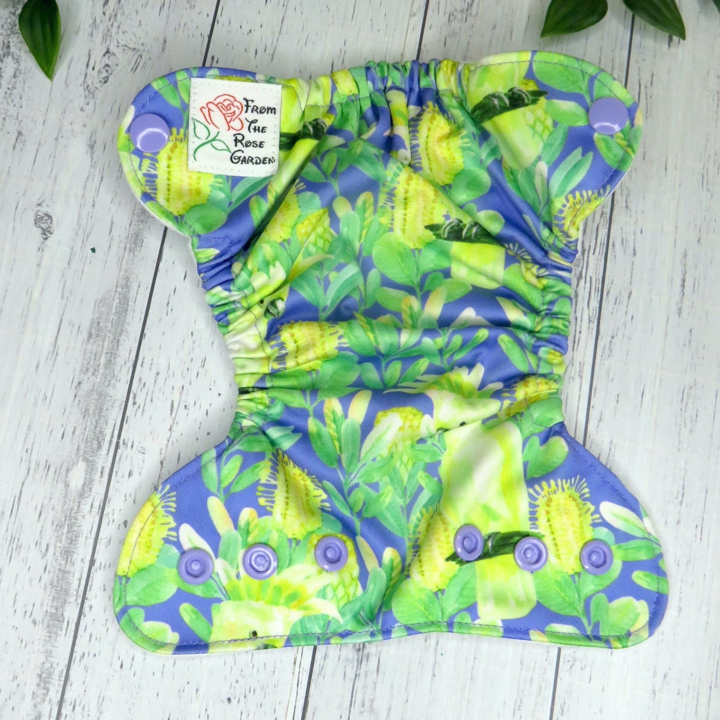 Sulphur Crested - PUL - Premature