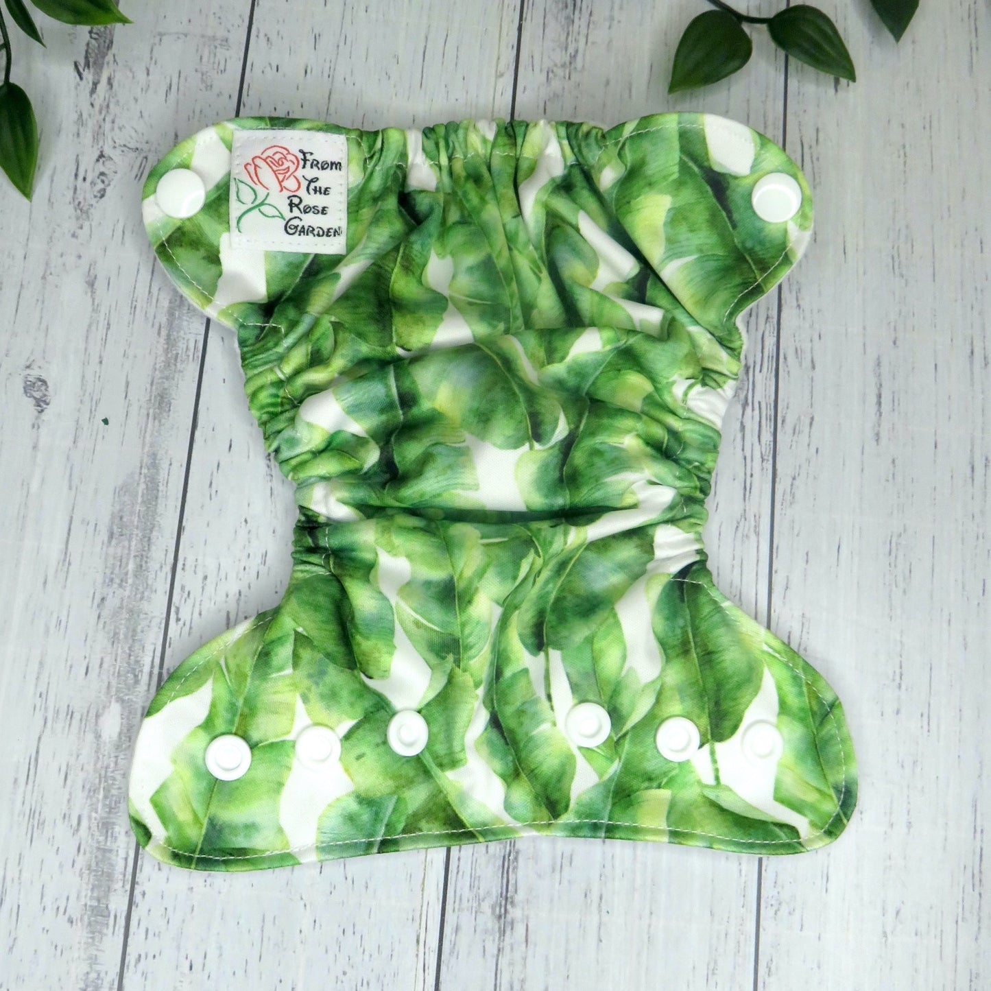 Banana Palms - PUL - Premature