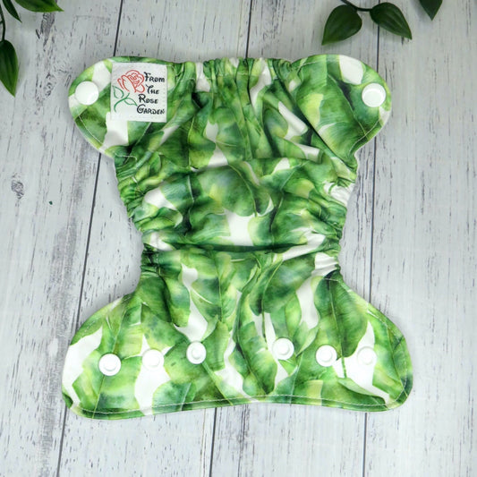 Banana Palms - PUL - Premature