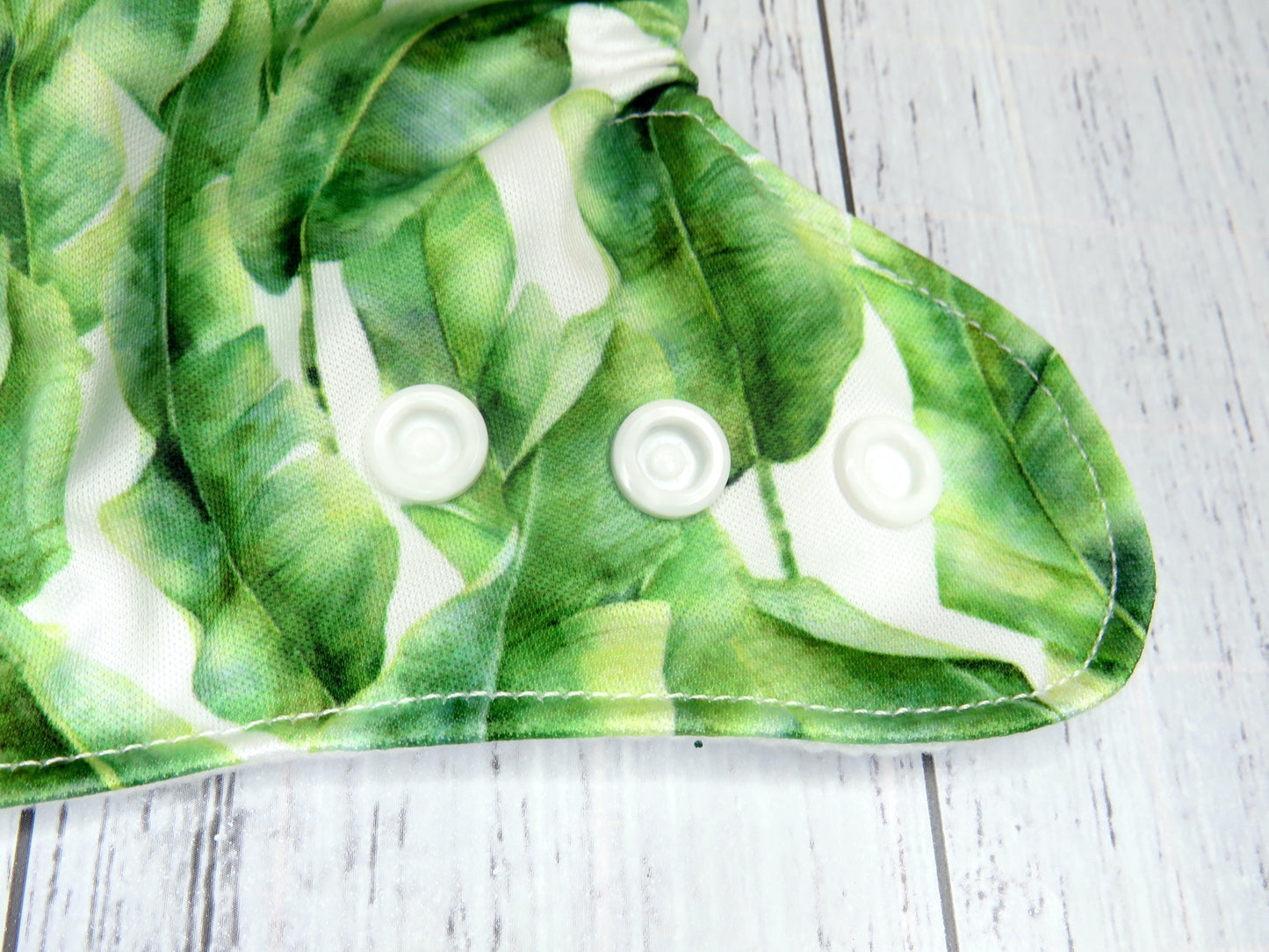 Banana Palms - PUL - Premature