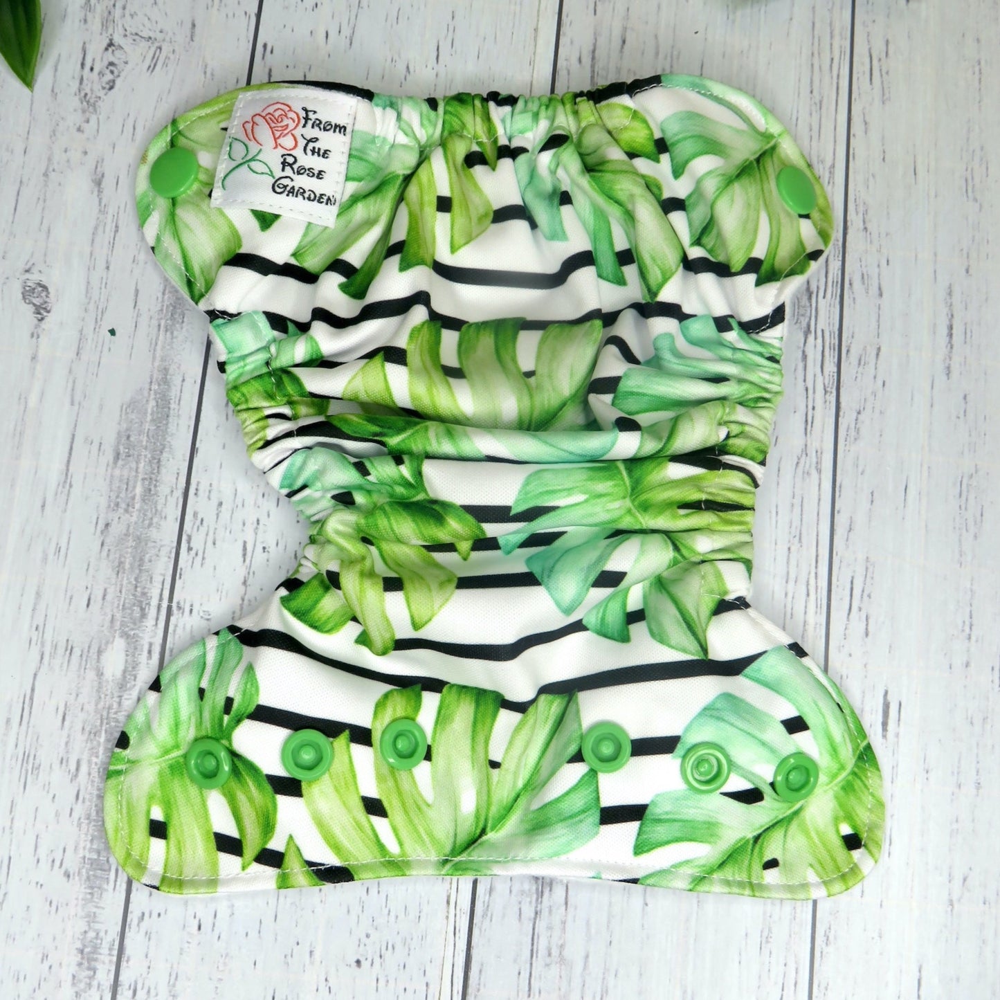 Tropical Lines - PUL - Premature