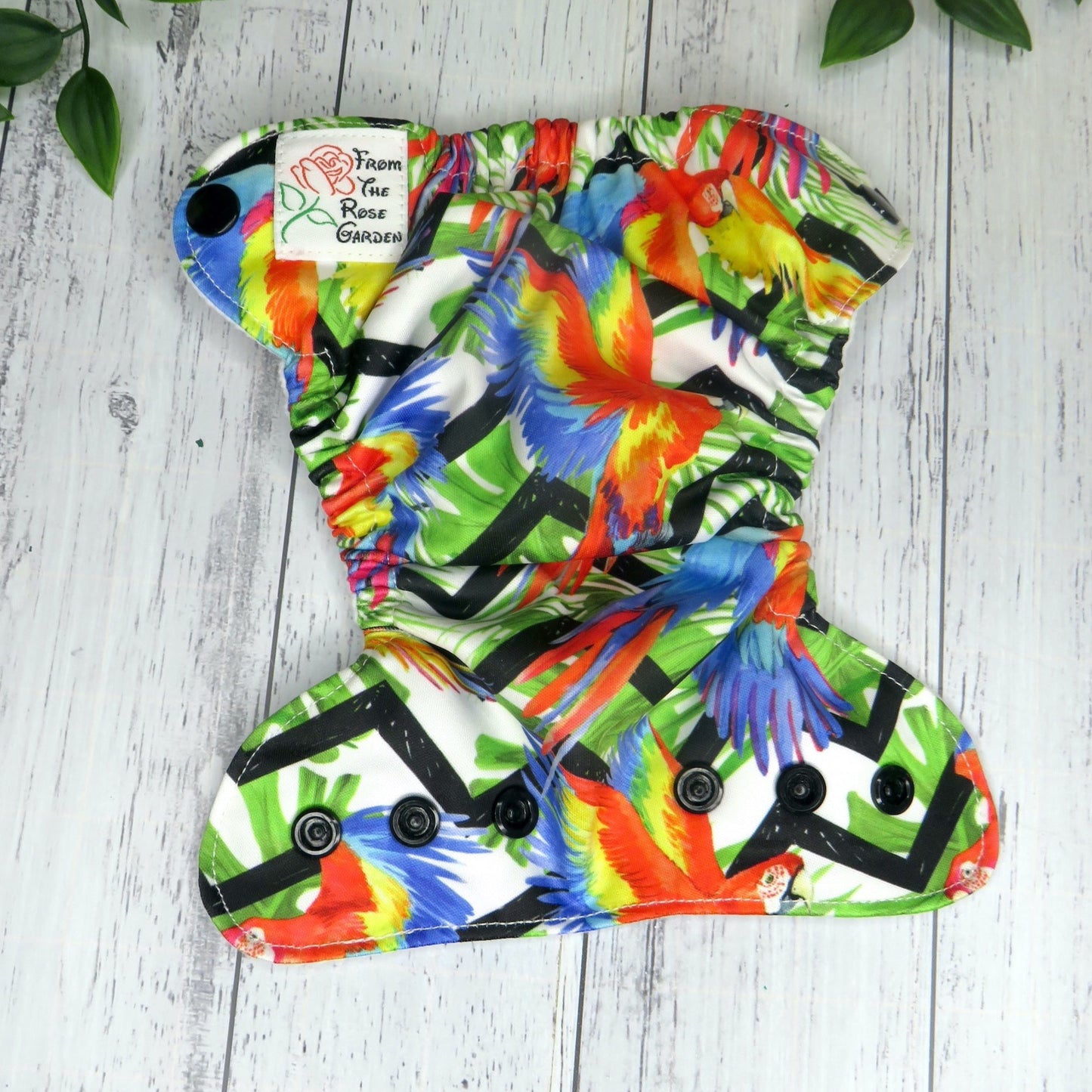 Polly - PUL - Premature