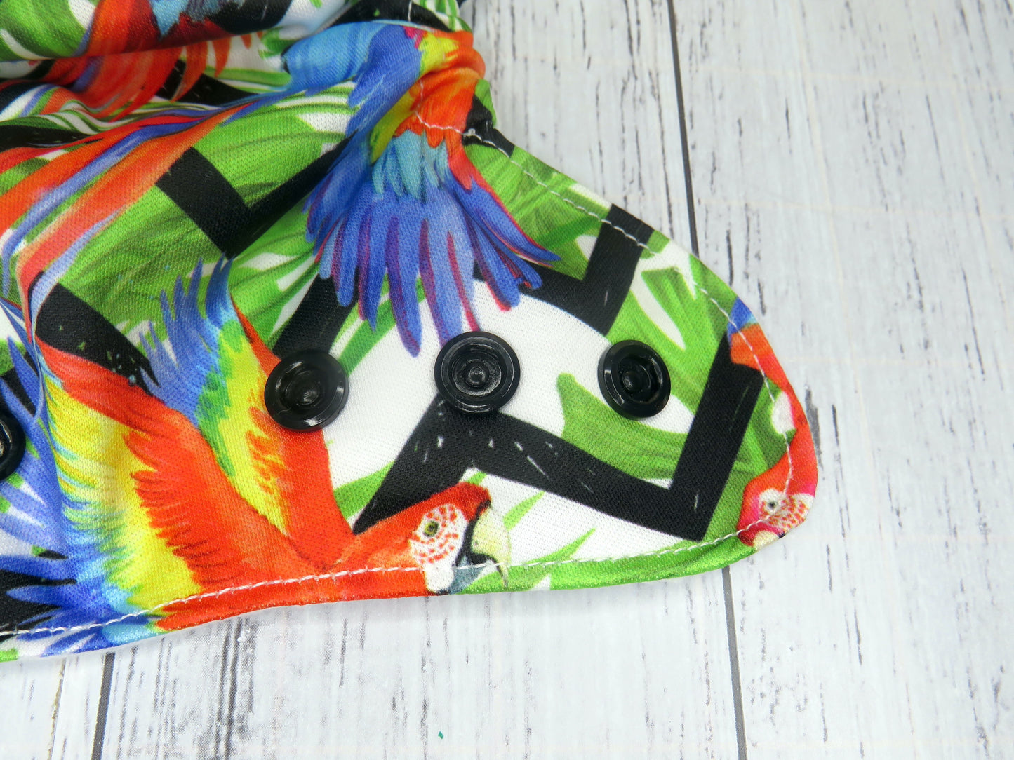 Polly - PUL - Premature