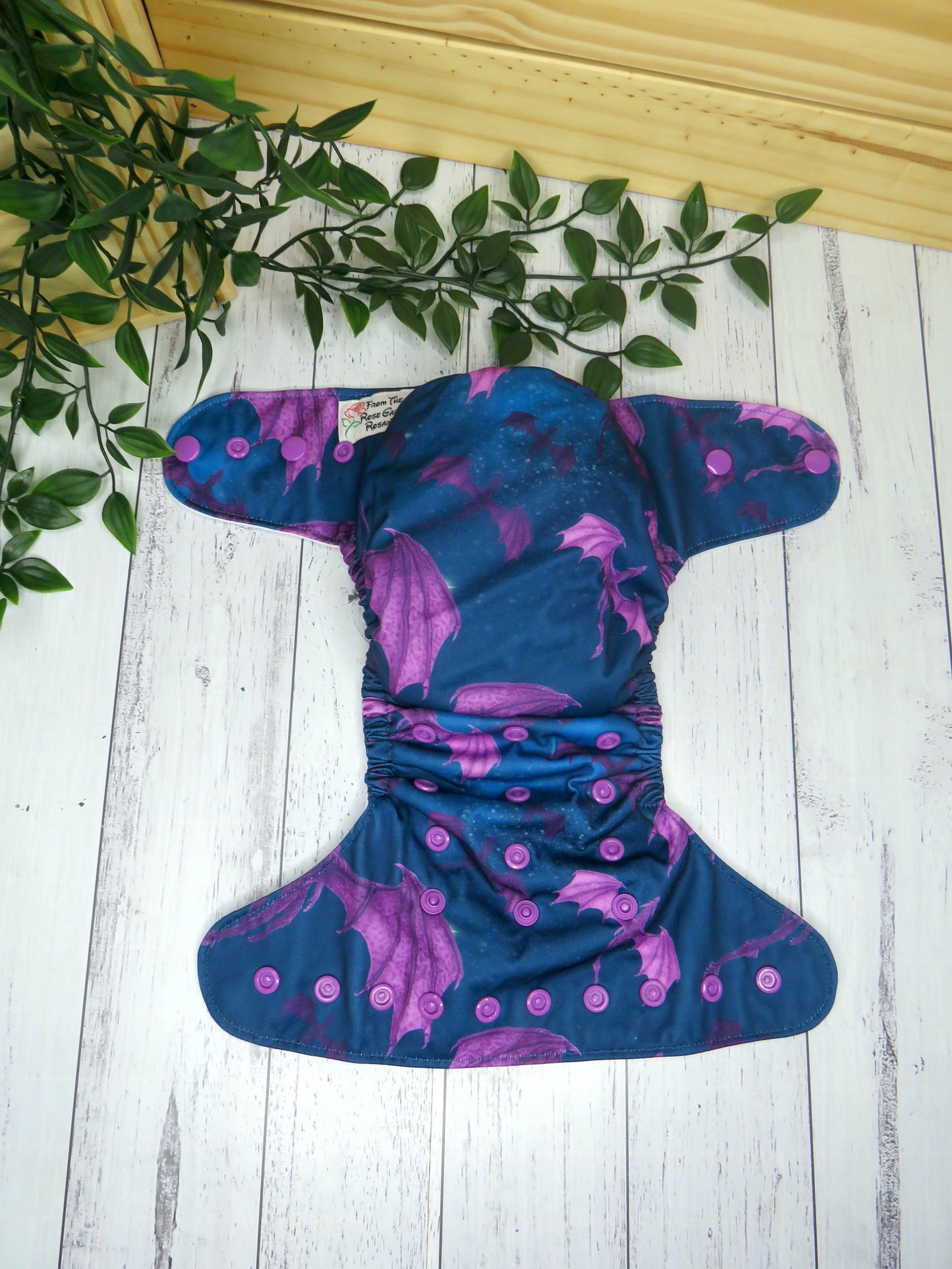 Cynder - PUL - Rosarium