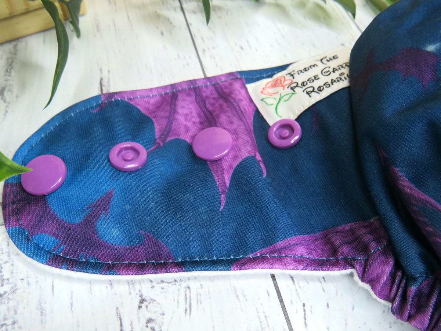 Cynder - PUL - Rosarium