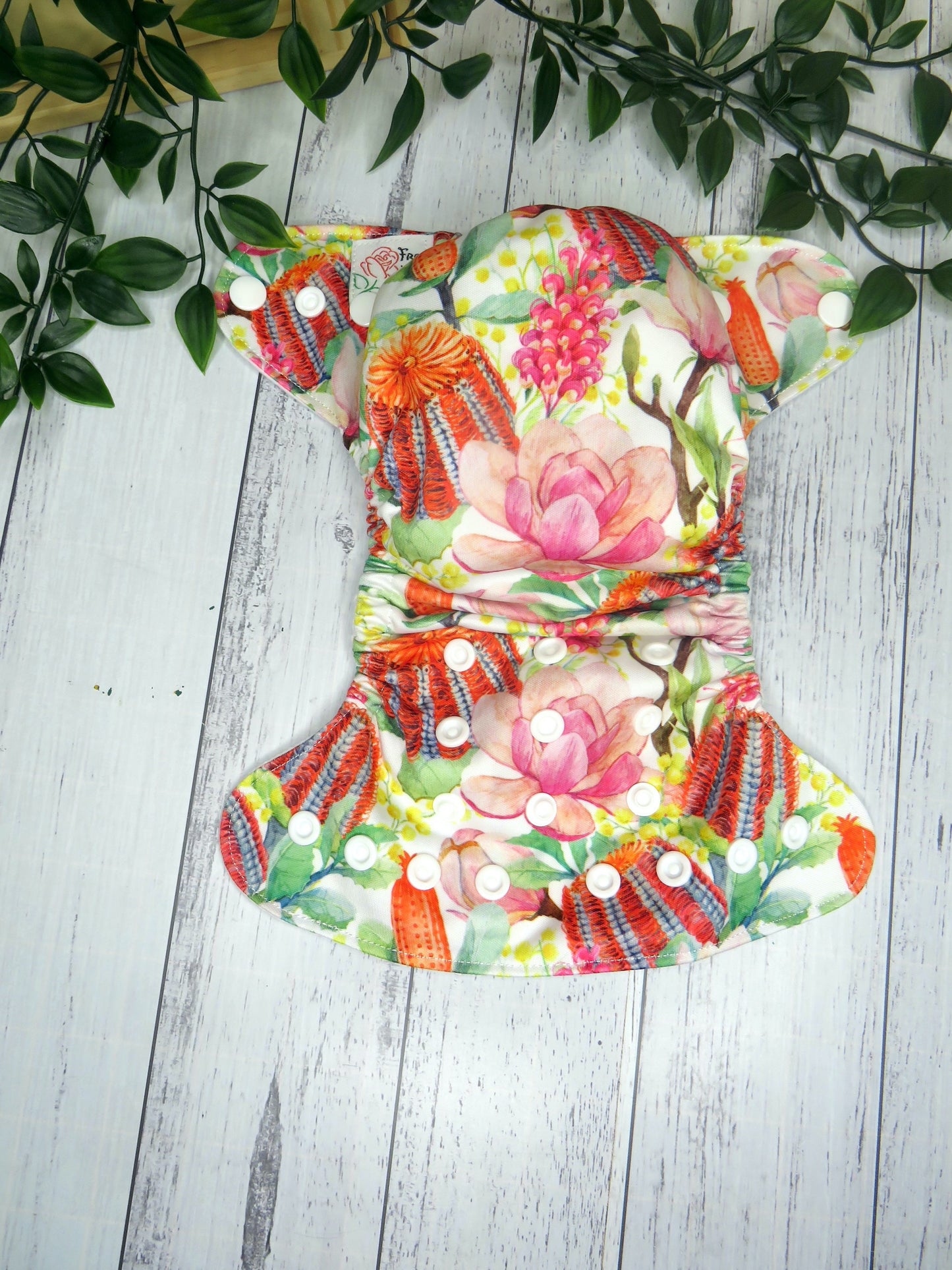 Banksia and Wattle - PUL - Newborn