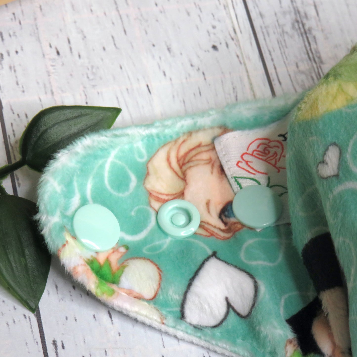 Princess - Minky - Newborn