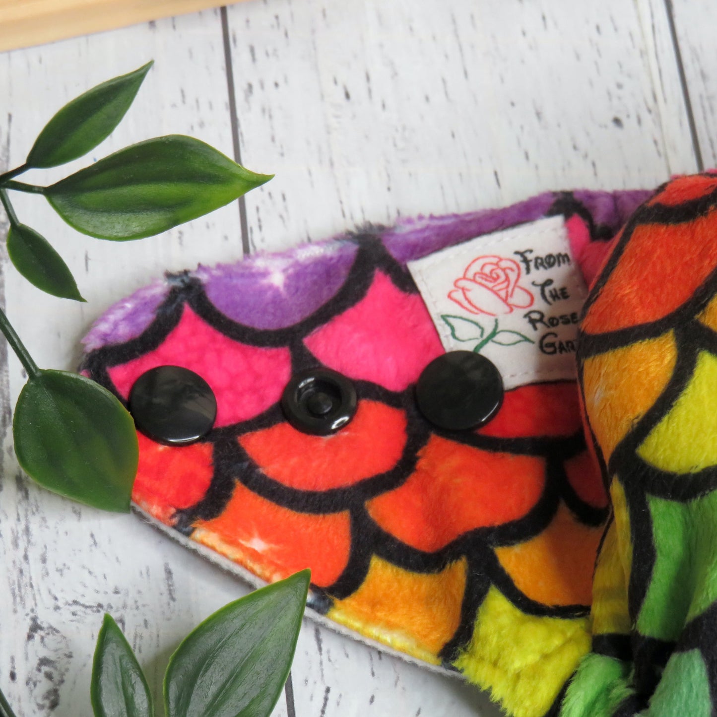 Rainbow Scales - Minky - Newborn