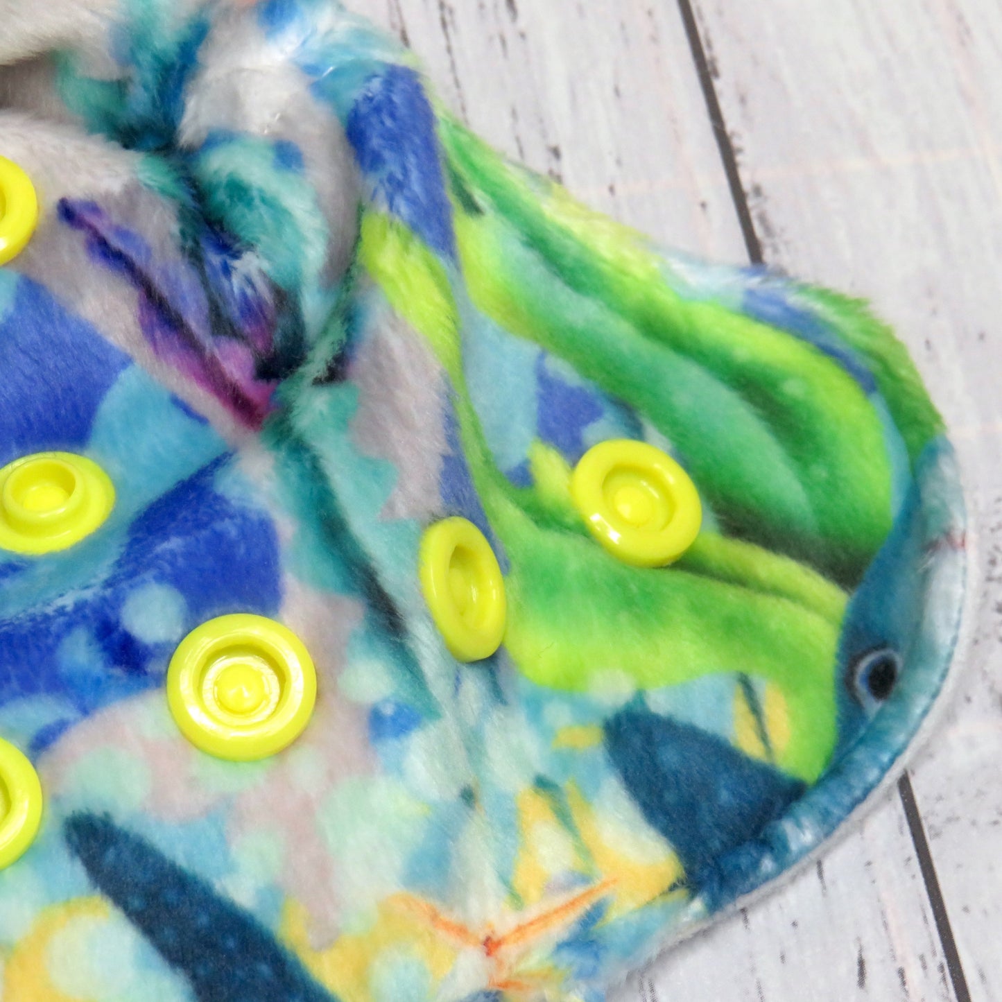 Fish are Friends - Minky - Newborn