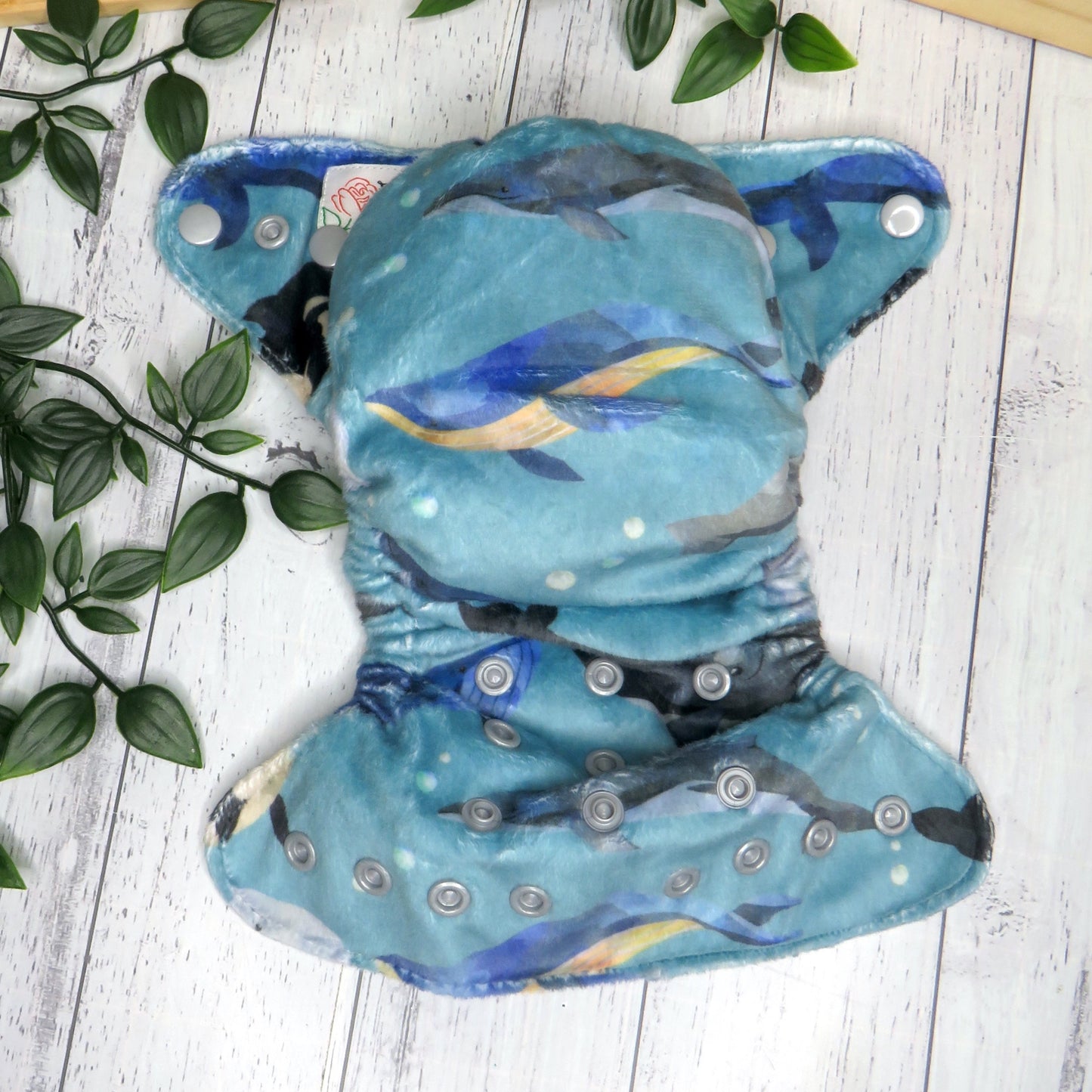 Whales - Minky - Newborn