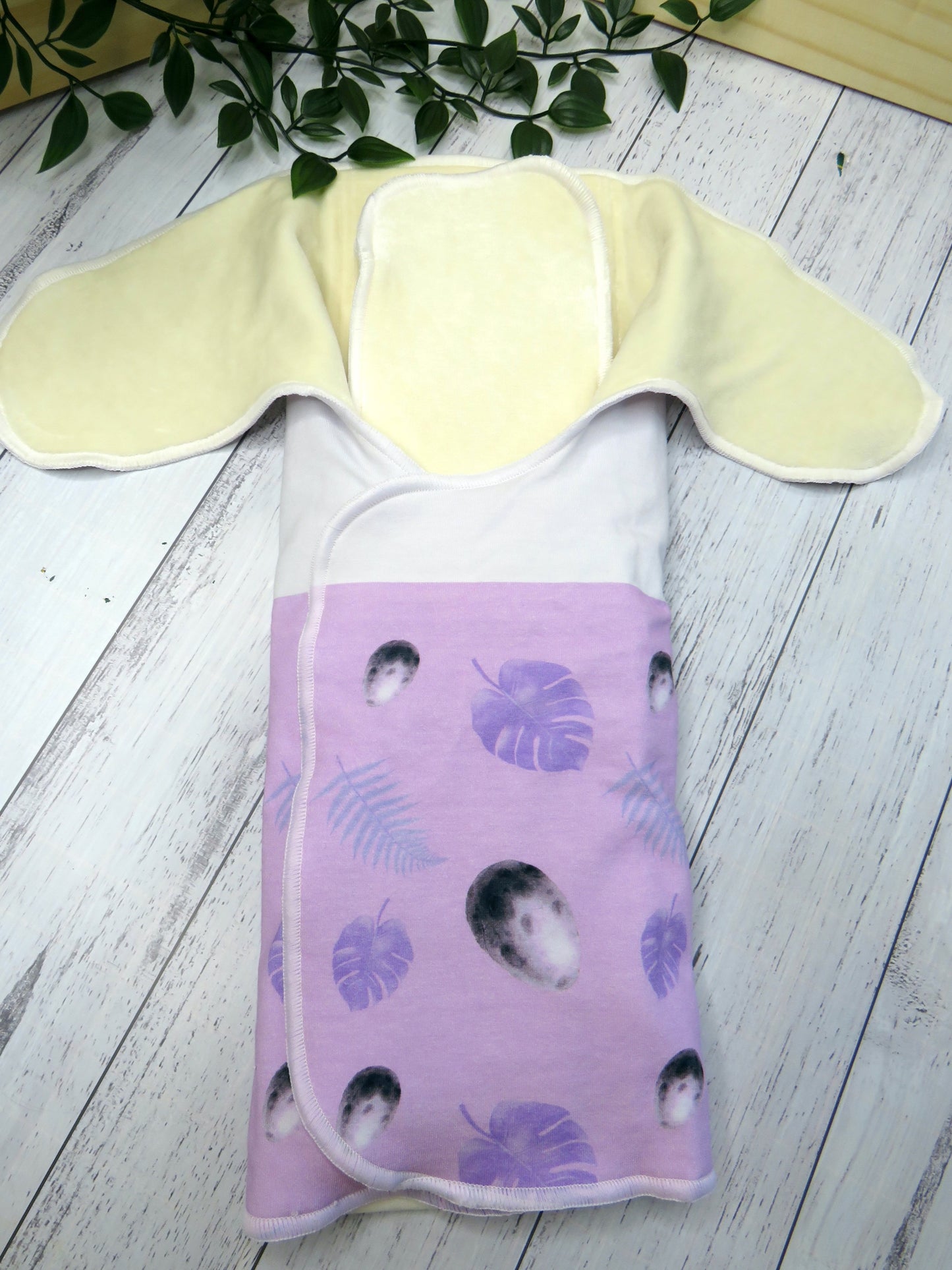 Stegosaurus - OSFM Preflat