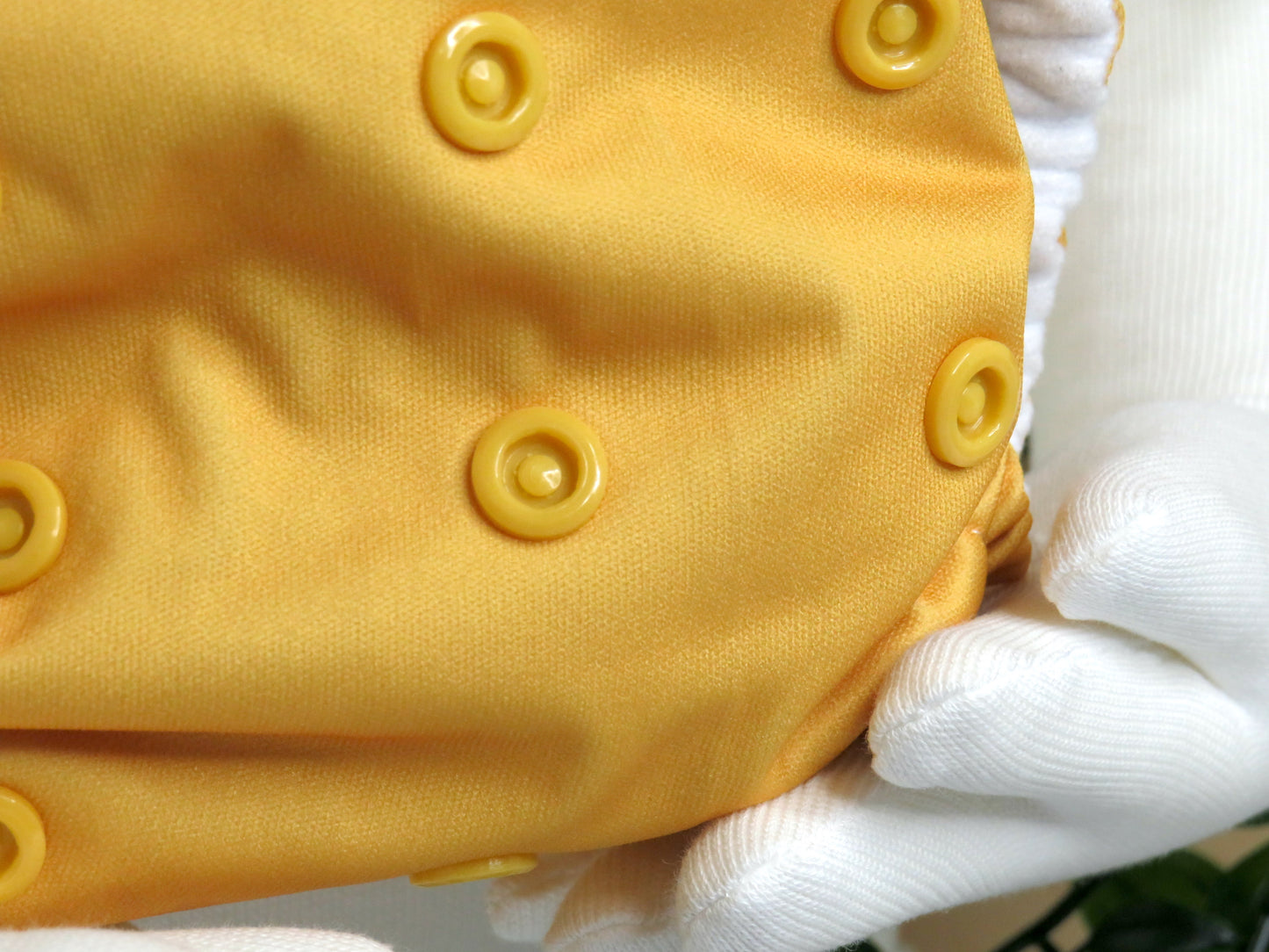 Yellow Mustard - PUL - Rosarium