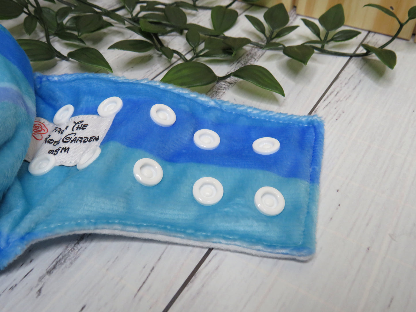 Baby Shark - Minky - Side Snap