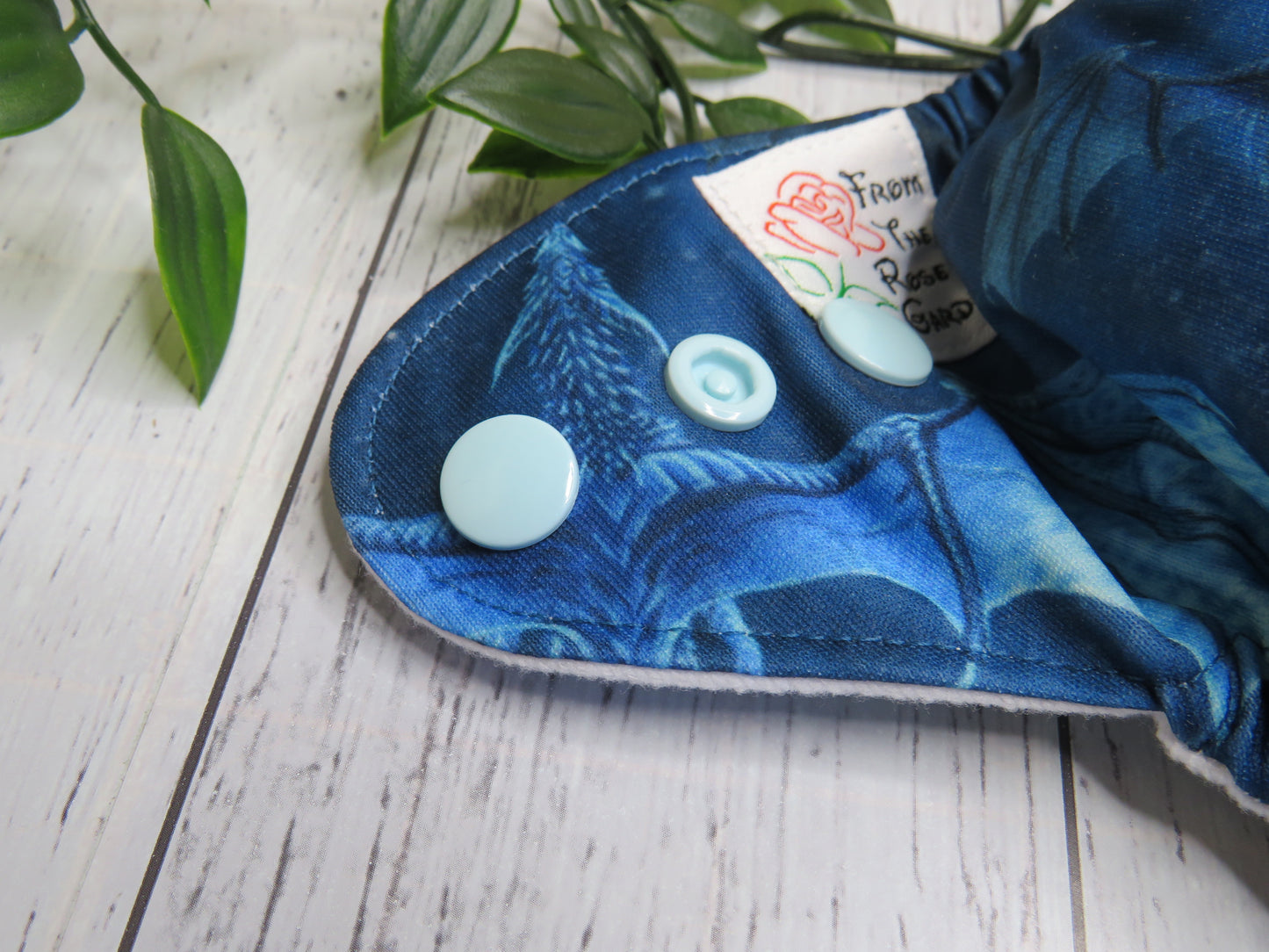 Saphira - PUL - Newborn