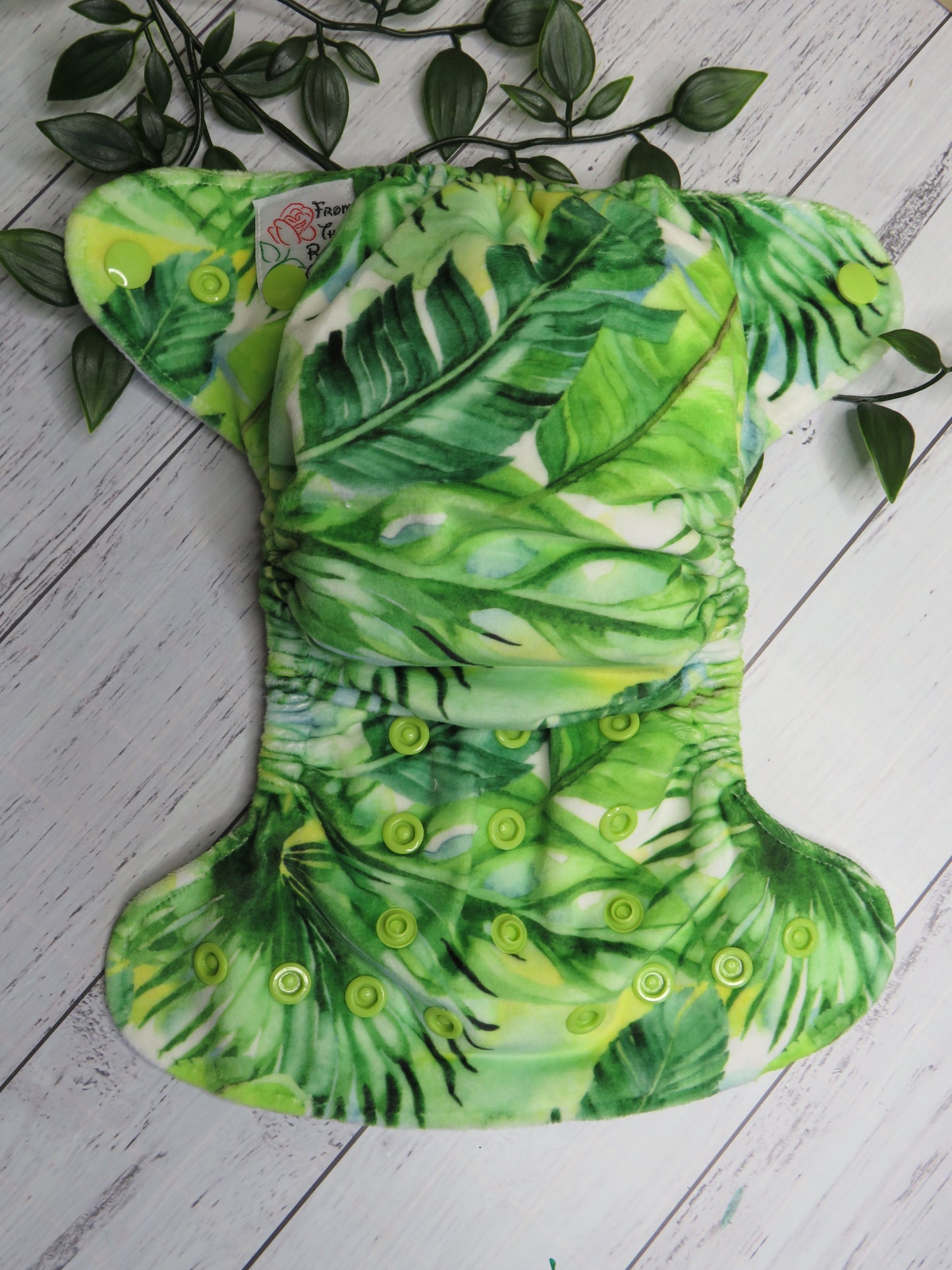 Arcadia - Velvet Minky - Newborn