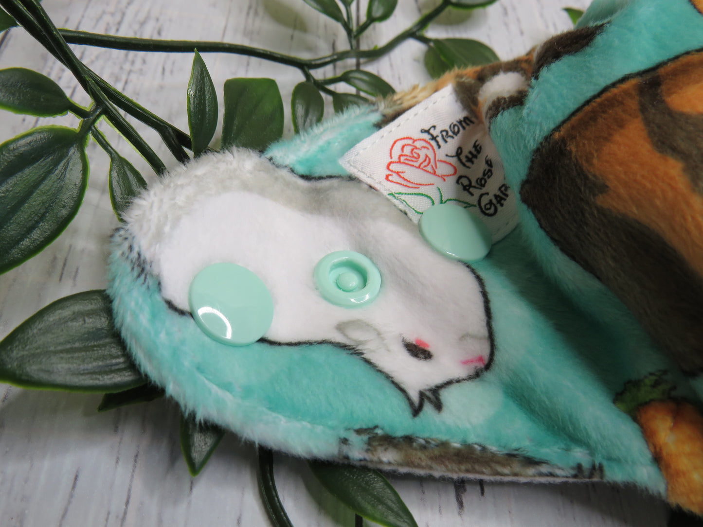 Guinea Pig - Minky - Newborn