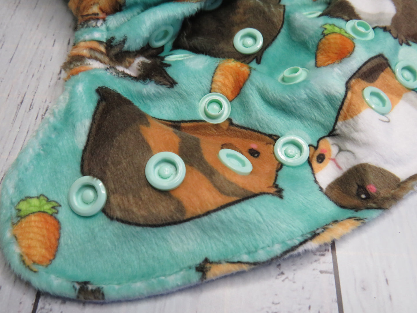 Guinea Pig - Minky - Newborn