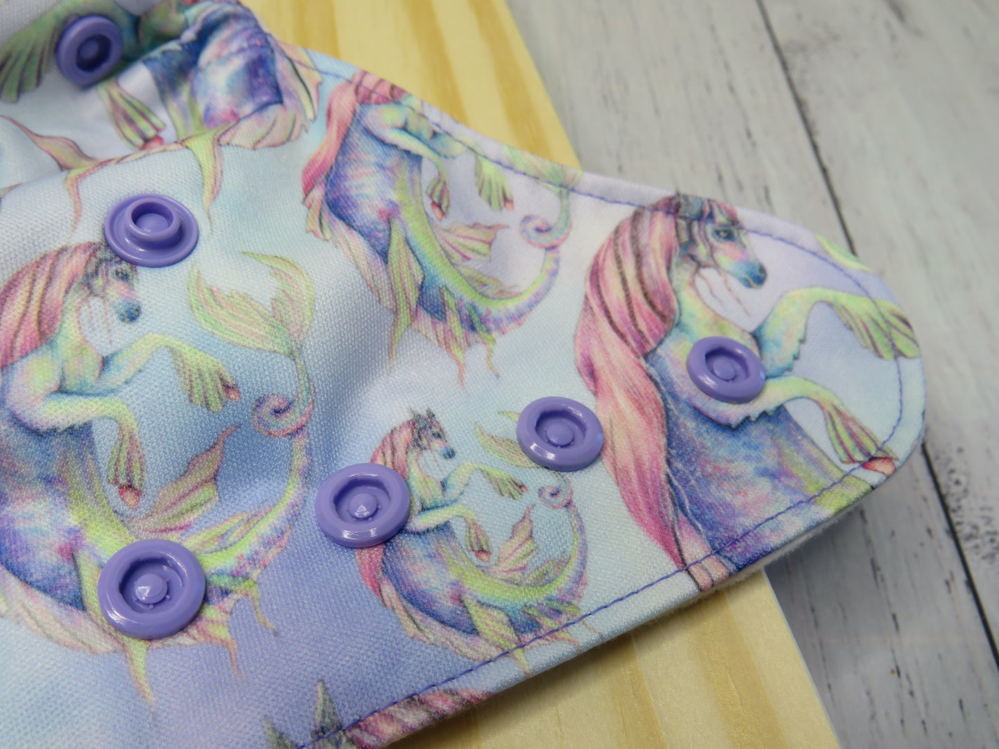 Hippocampus - PUL - Rosarium