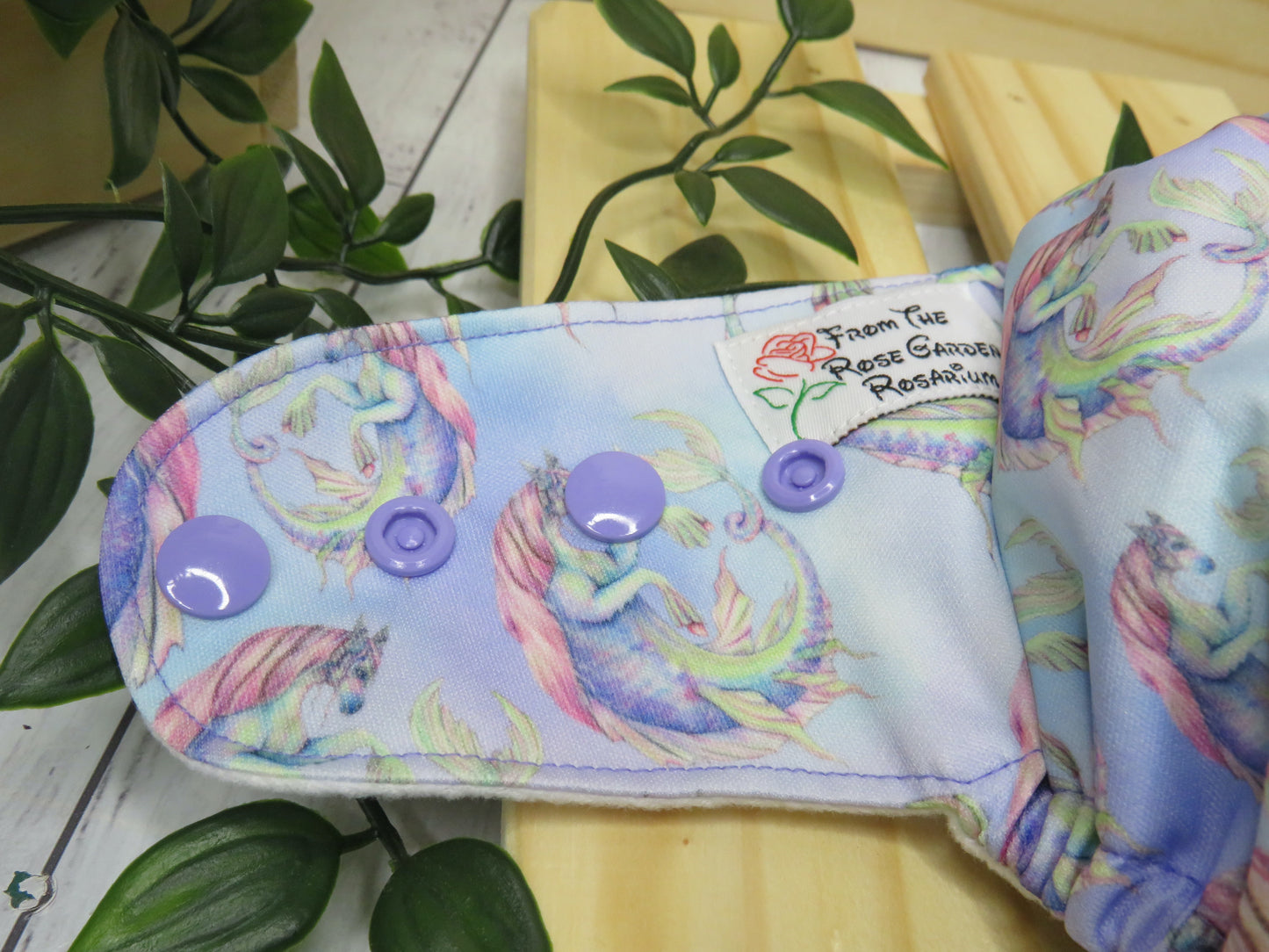 Hippocampus - PUL - Rosarium