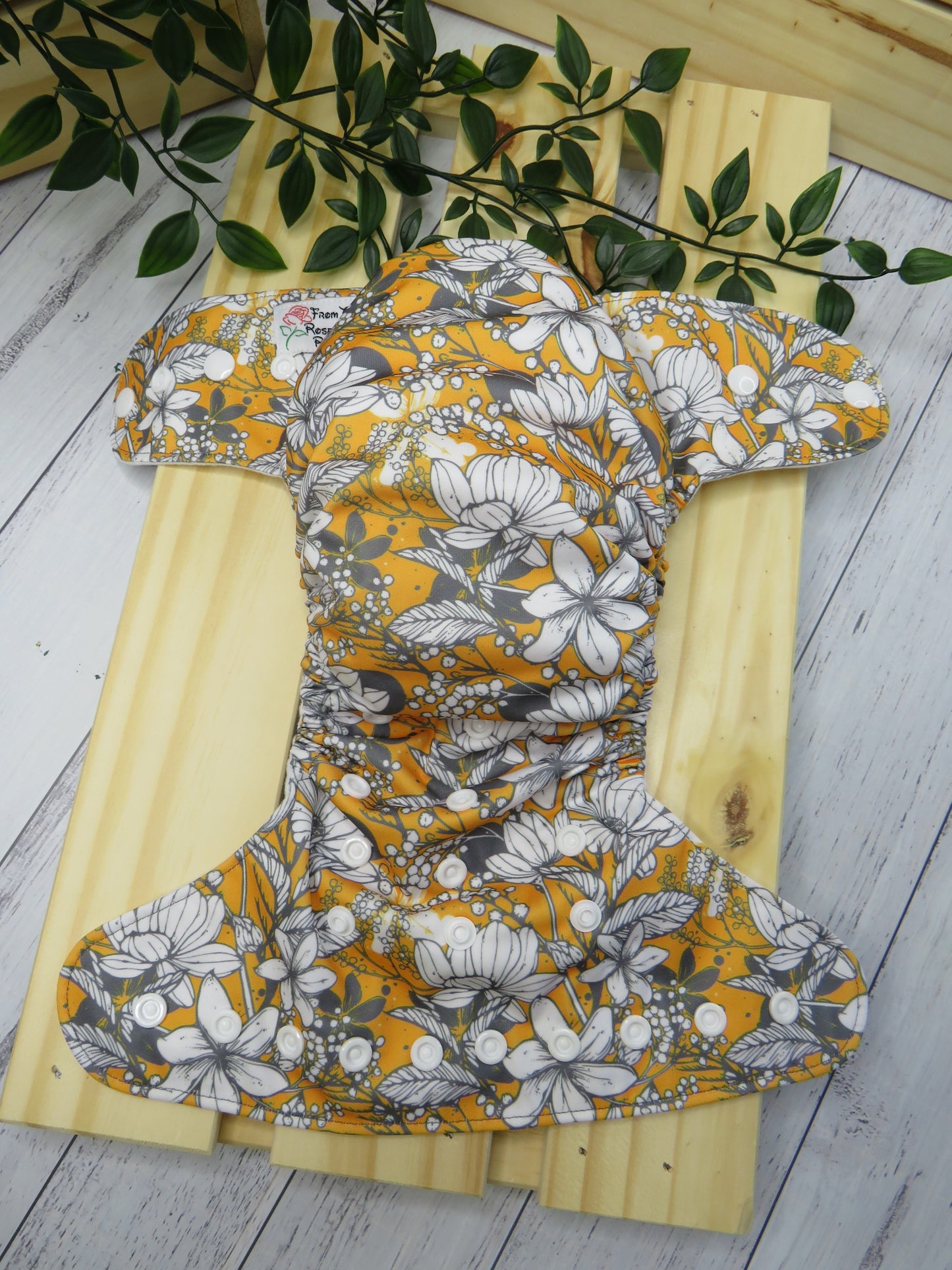 Judy - PUL - Rosarium