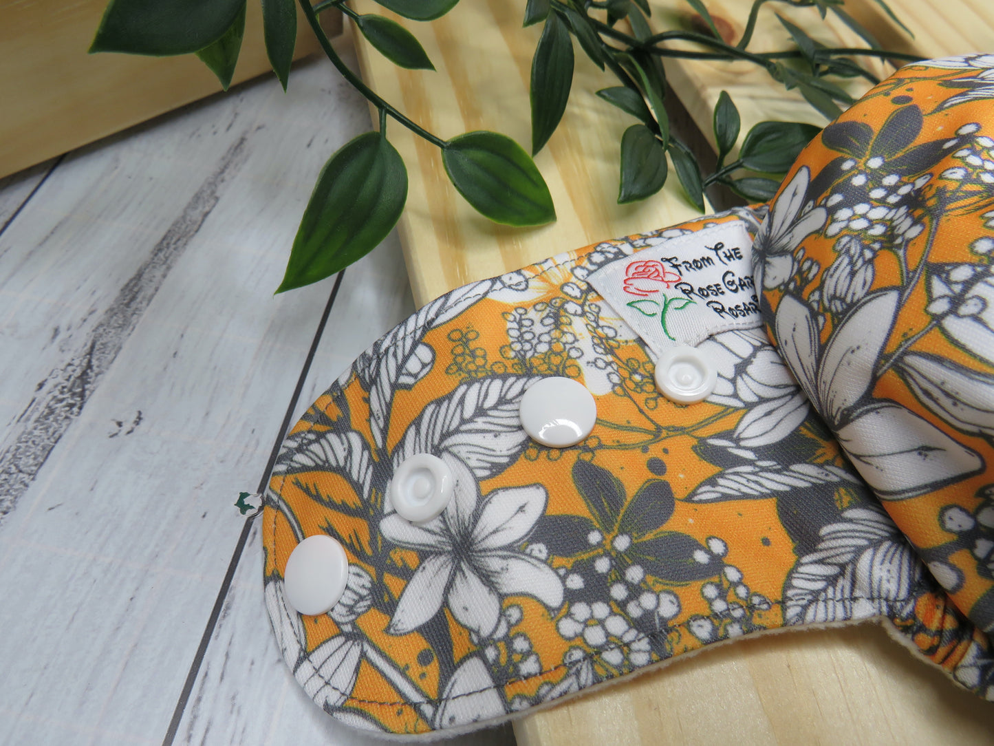 Judy - PUL - Rosarium