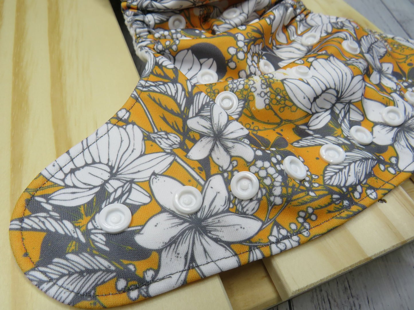 Judy - PUL - Rosarium