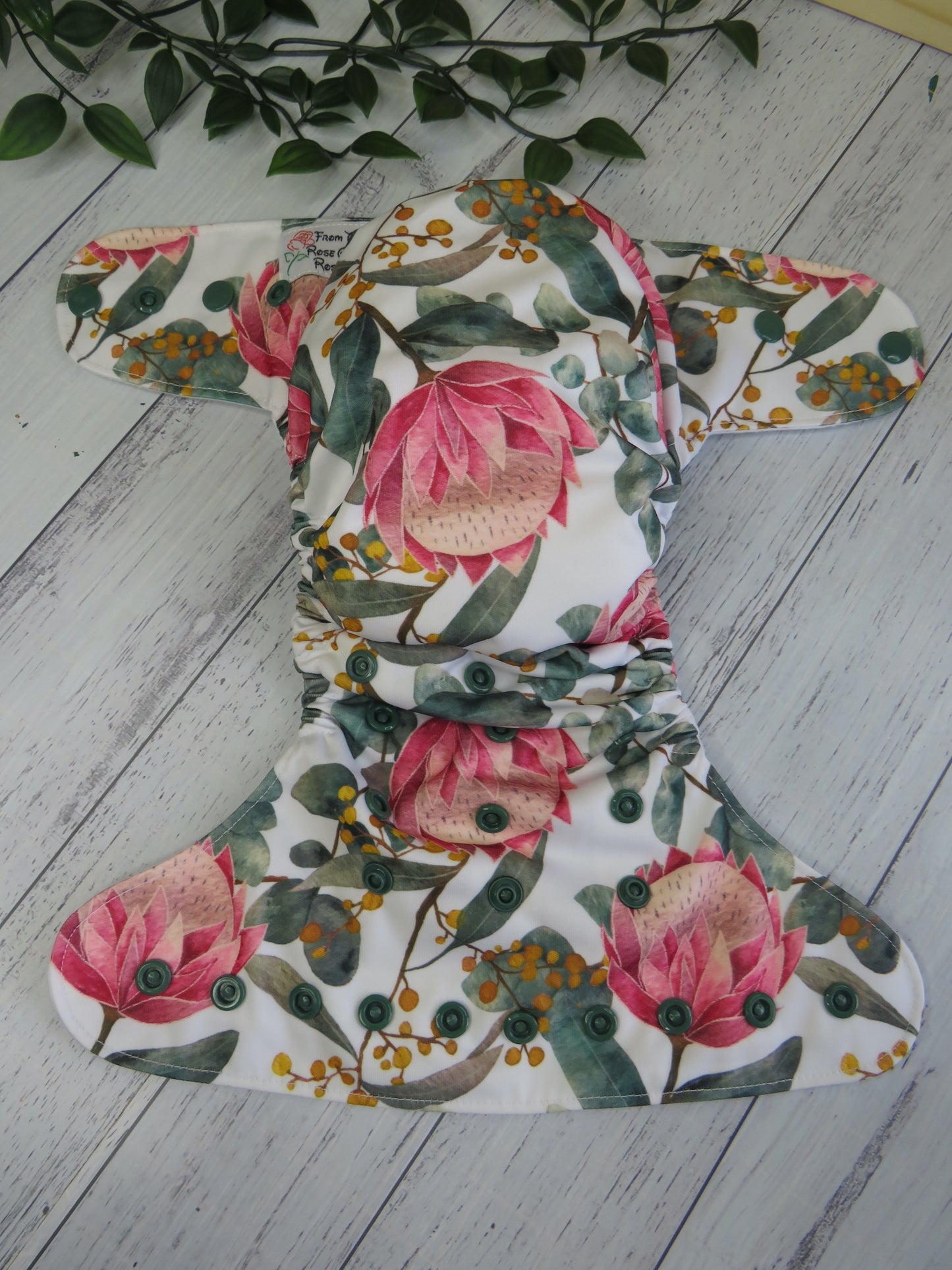 Wild Protea - PUL - Rosarium