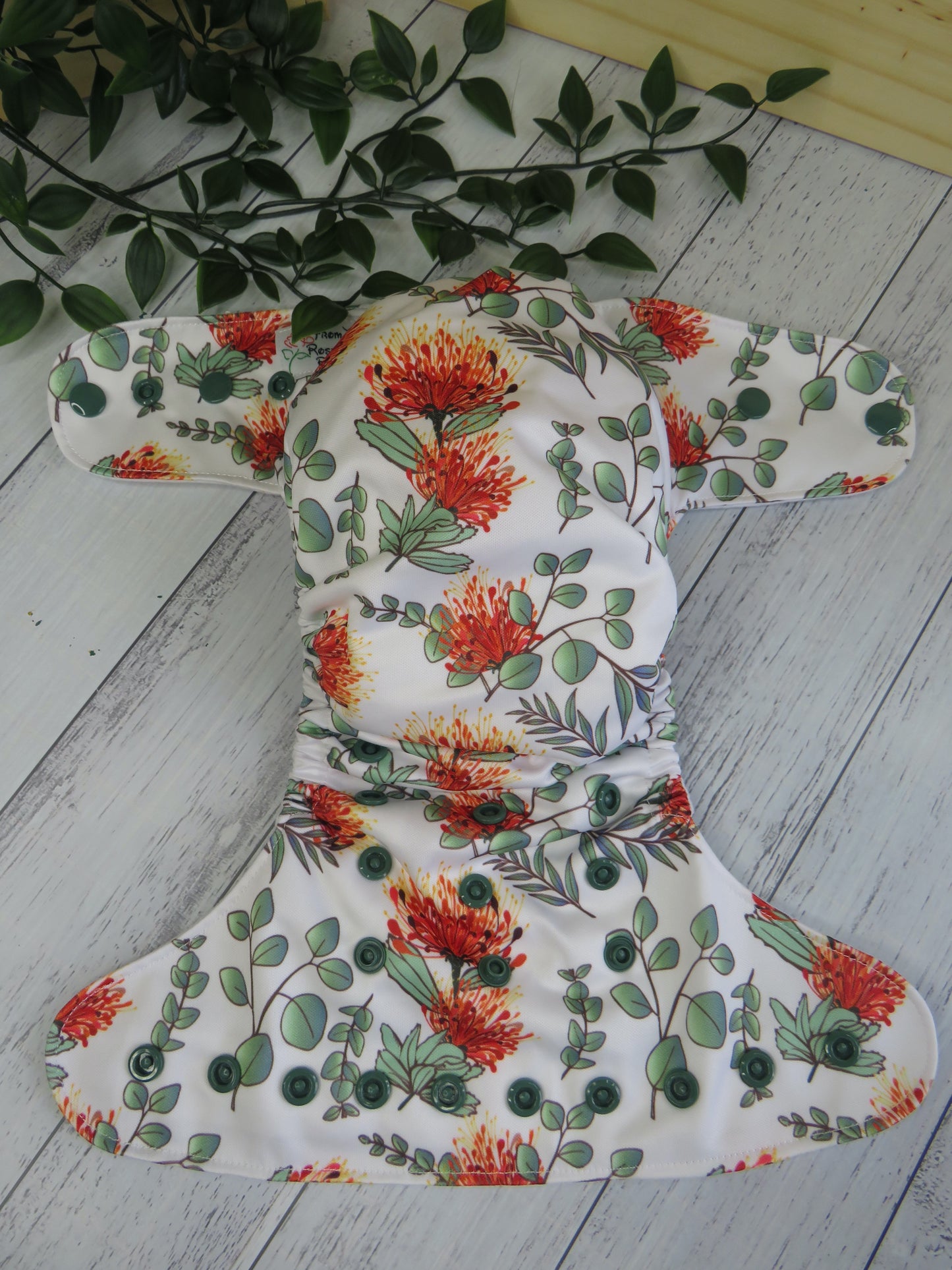 Gumnut Blossoms - PUL - Rosarium