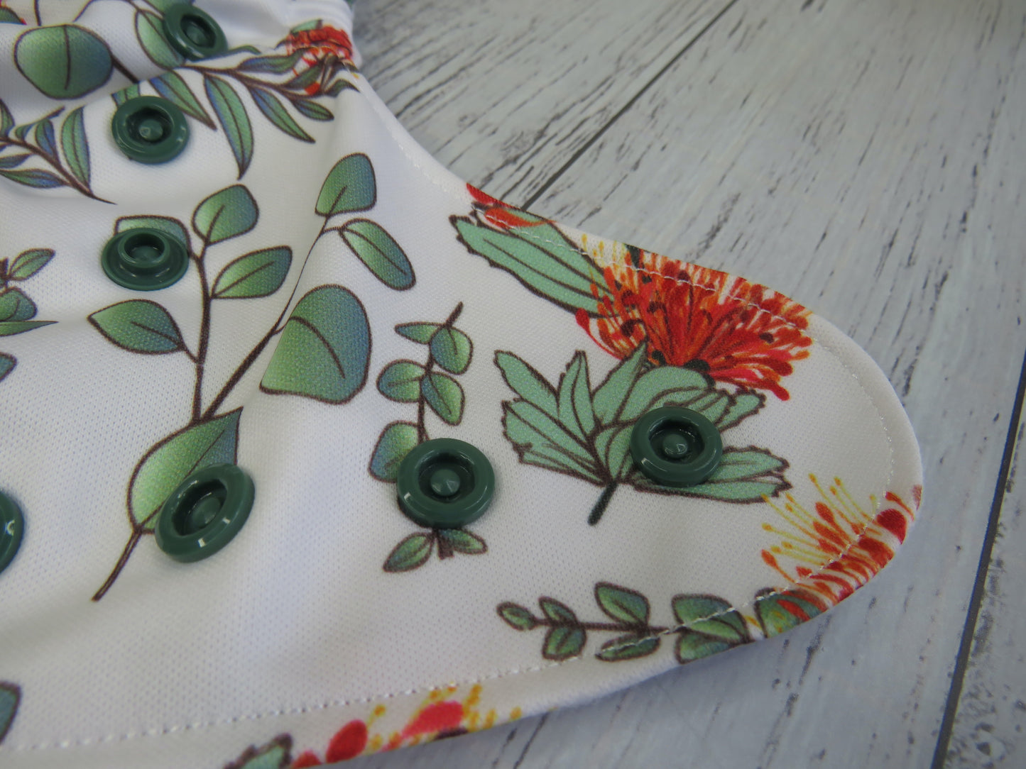 Gumnut Blossoms - PUL - Rosarium