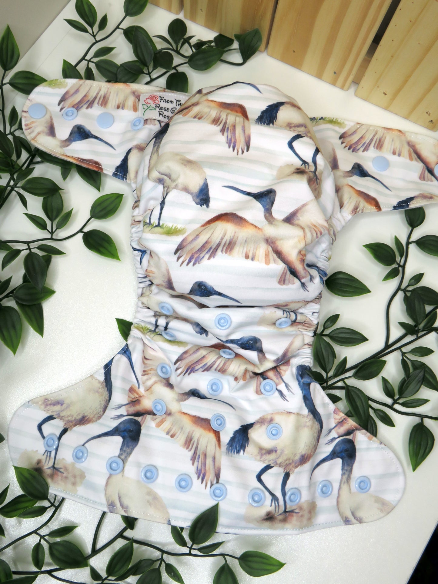 Ibis - PUL - Rosarium