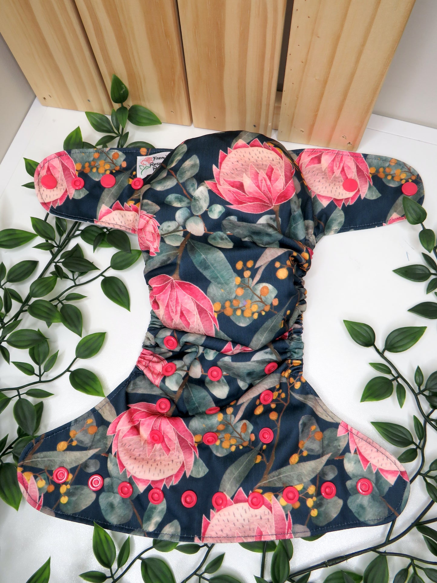 Midnight Protea - PUL - Rosarium