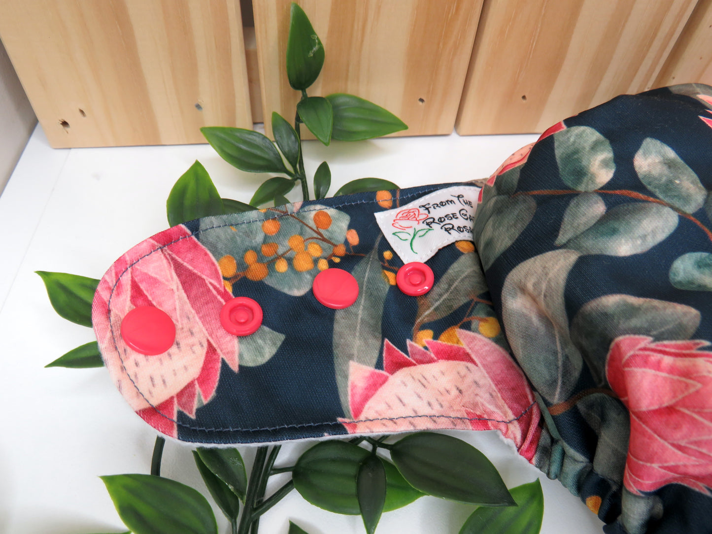 Midnight Protea - PUL - Rosarium