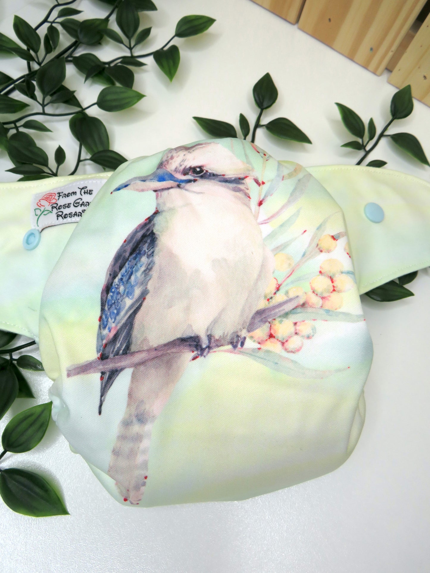 Kevin - PUL - Rosarium