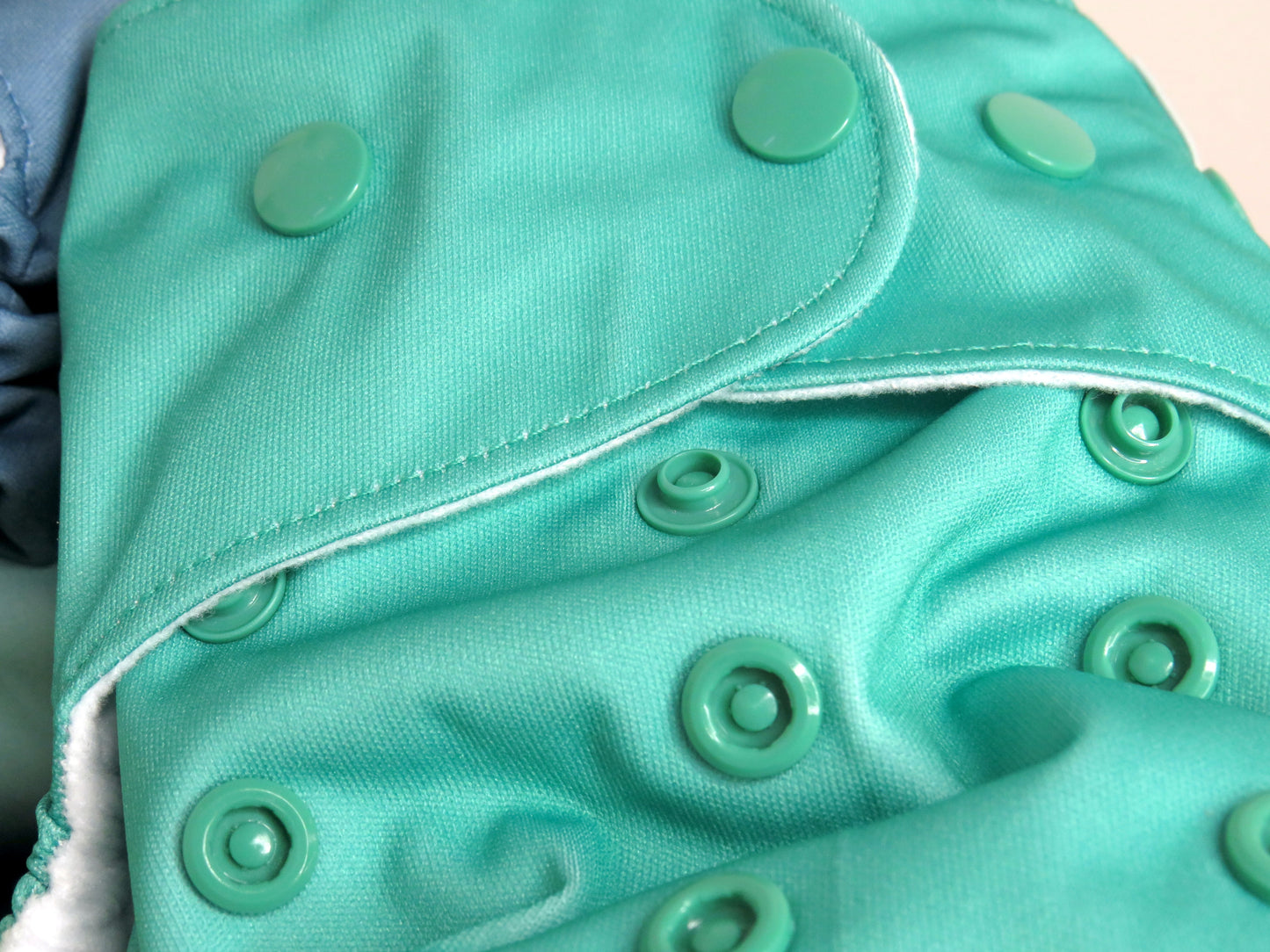 Ocean Green - PUL - Rosarium