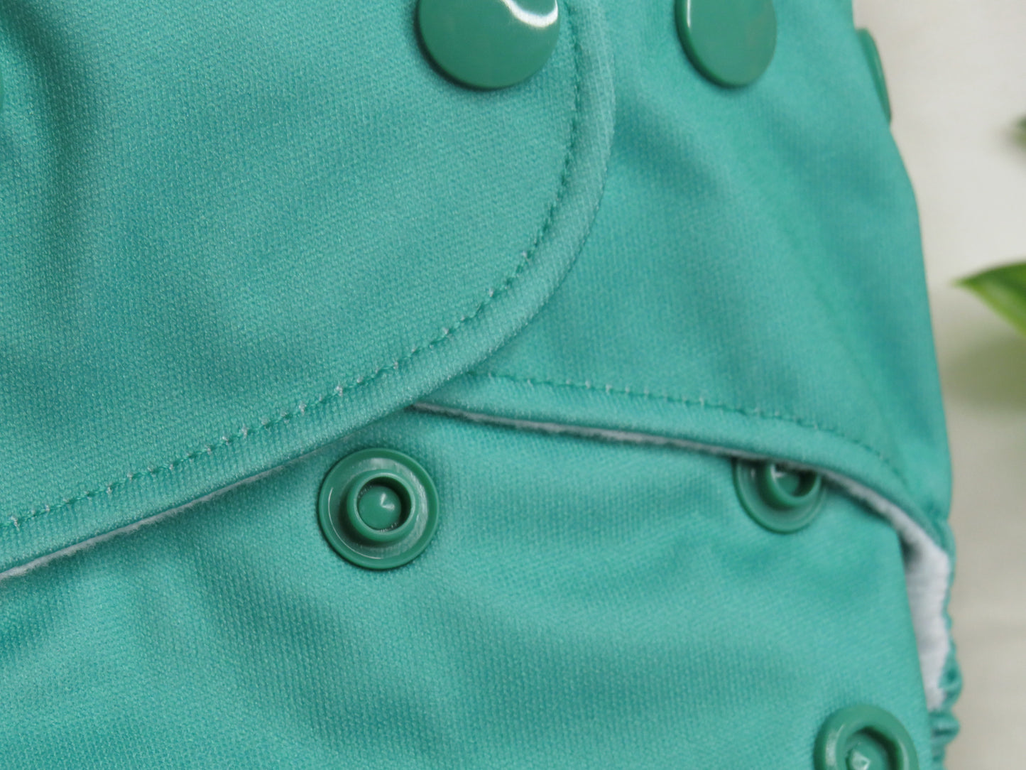 Ocean Green - PUL - Rosarium