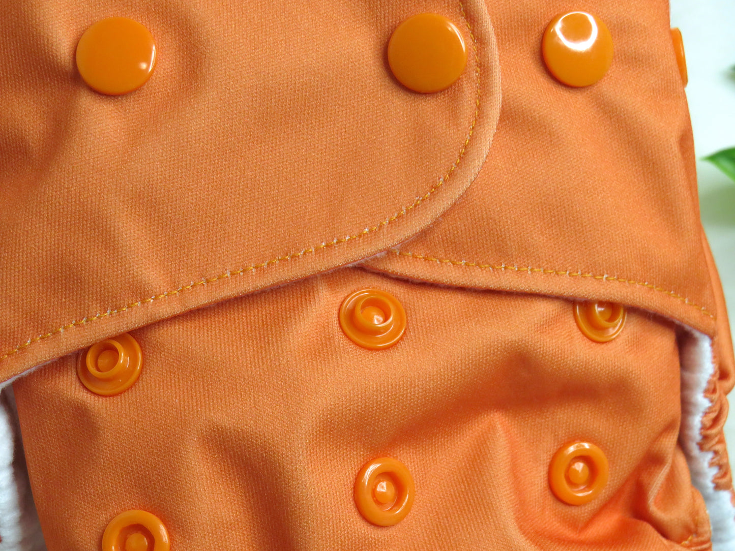 Orangutan Orange - PUL - Rosarium